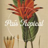Selecta Promo País Tropical _ tous les jeudis de l'été au Divan du Monde, Paris