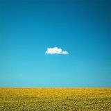Yellow & Blue