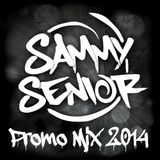 Promo Mix 2014