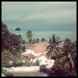 Baile Tropical #35