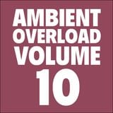 Ambient Overload Vol. 10