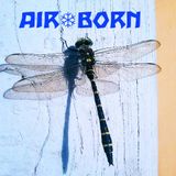 AIRBORN