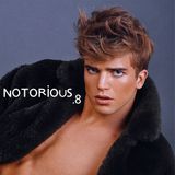 Notorious.8 (Part 3)