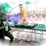 Harmonize Fest Set 2013