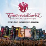 Axwell - Mainstage at TomorrowWorld (Atlanta) – 28.09.2013