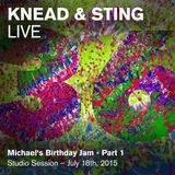 Knead&Sting Live - Michael's Birthday Jam (Minimal Techno), Summer 2015