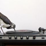 Blog Mix #1
