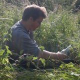 Ed Sears on Permaculture Research