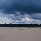 Edge Of The Forest -The Peruvian Amazon Part 1 : Night - 15th January 2016