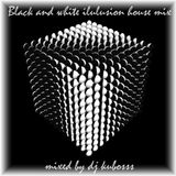 Black and White illusion house mix