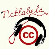 Presentation of a netlabel culture at the example of Dubophonic netlabel