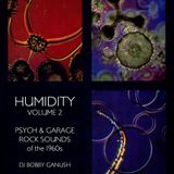 HUMIDITY - VOLUME 2 - PSYCH & GARAGE ROCK SOUNDS of the 1960s