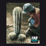La fabrock | s02e05 | I've got Erection ~ Summer Madness | 20141002