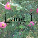 Lang 1