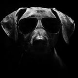 Deep House Groove