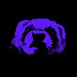 Royal Basslines