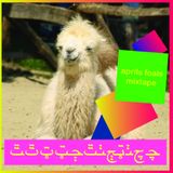 Headshotboyz - April's Foals Mixtape (2011)