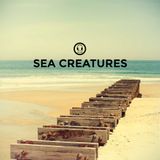 Sea Creatures