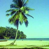 Soca Summer
