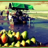 Si le meto al tropical Vol 9