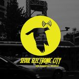 Seoul Electronic City #16