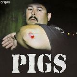 C79|№8 - PIGS