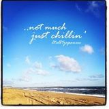 ..not much, just chillin'