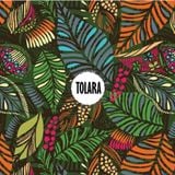 Tolara - week 01