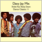 Shake Your Body Down - Dance Classics 11