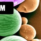 if i had a hi fi - Microsphere Mix by di99er for 16bit.fm
