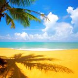 DJ HACKs Tropical House #01 Road To Summer Mix by DJ SHOTA