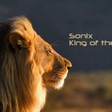 Sonix - King Of The Jungle