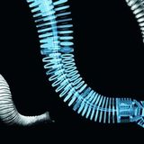 Biomimetics