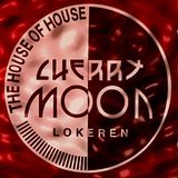 Franky Kloeck at Cherry Moon (Lokeren - Belgium) - 8 April 1995