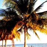 Southern Hemisphere Summer Mix