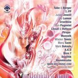Mladen Tomic - Live @ Soul Tech Festival 2012, Mexico City, 20.10.2012.