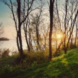 Springtime afternoon