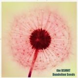 the BSMNT: Dandelion Seeds