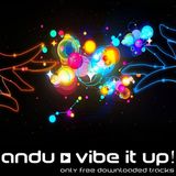 Vibe It Up! // Andu @ Vibe FM (07.06.2014) FDT