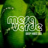 mesa verde - deepvibes 013