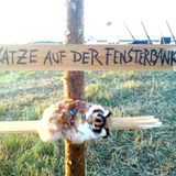 Kigh.Definition: Elefanten Zanken @ Hilltop Garden (Anjuna/goa)
