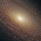 Great Groovy Galaxy