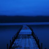Quiet Nights