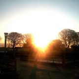 Yellow Sunset!