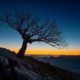 Mental Stargazing (For The Sleepers)