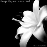 Miss Electric - Deep Experience Vol.2