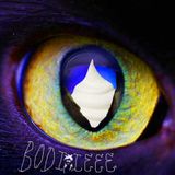 Bodi Leee - Pepsignac S-Hits Selection