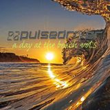 Pulsedriver - A Day At The Beach vol.5 (Continuous DJ Mix)