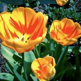 Springtime Beatmix