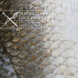 Soundscape 007: ANIAETLEPROGRAMMEUR